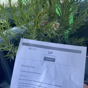 Tucson Electric Power tree program- let me pick trees and locations- I picked ecogrow