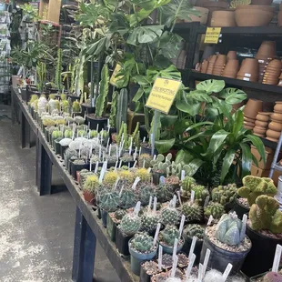 Inside the store on the right.