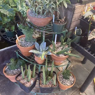 Display near the front