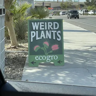 Yes!
