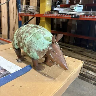 Armadillos are a running joke for me and my friends