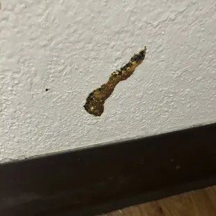 Shit on the wall