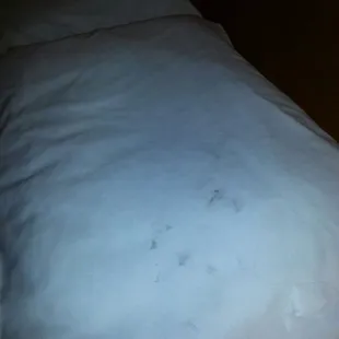Filthy sheets!