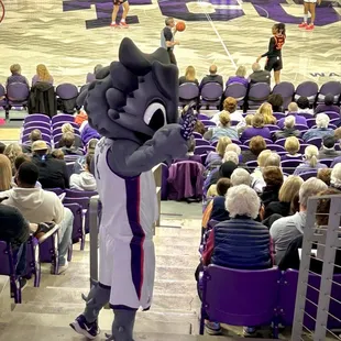 TCU Mascot