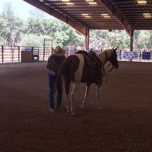 Great Arena, always well groomed