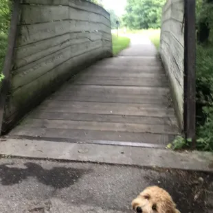 Walking trail