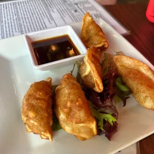 Chicken &amp; Vegetable Gyoza