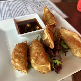 Chicken &amp; Vegetable Gyoza