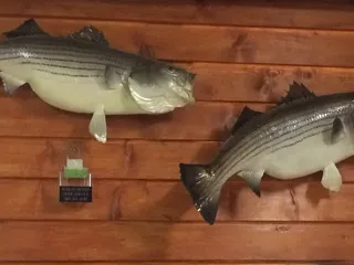 Deep South Dinner