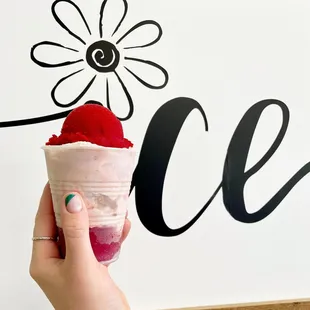 Red Raspberry Italian Ice and Raspberry White Chocolate Chip Gelato (Strato)