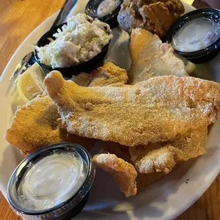 Catfish fillets