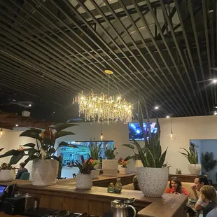 Interior dining area