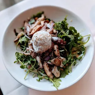 Warm goat cheese salad with roasted wild mushrooms, arugula and cider vinaigrette.