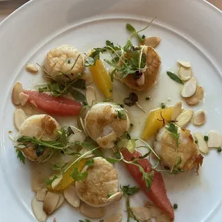 Georges Bank Scallops