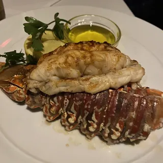South African Lobster (5)