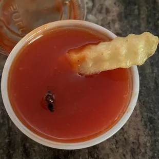 Found an insect in one of the mumbo sauces.