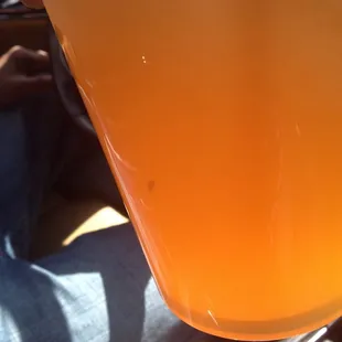 Roach floating in tea