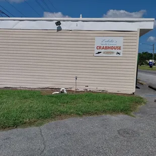 Side of building. Parking lot