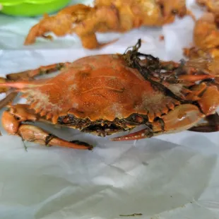 Streamed crab large