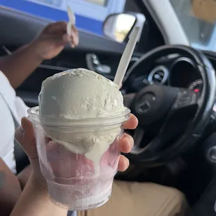 1 scoop vanilla, 1 blackberry
