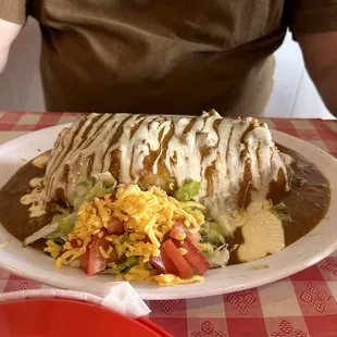 Burrito - big and tasty!