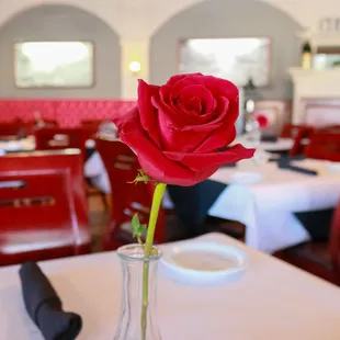 Live rose decor on tables