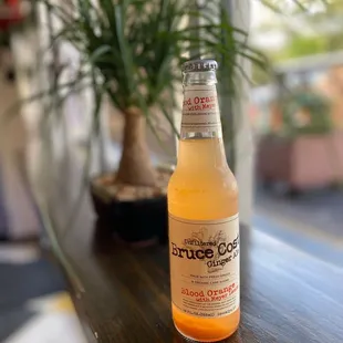 Blood Orange Gourmet Soda