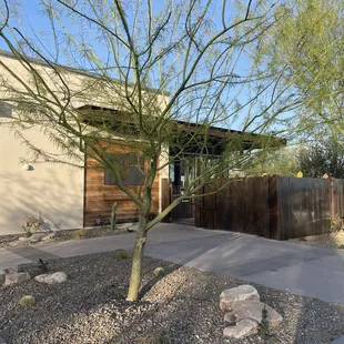 a tree in front of a house