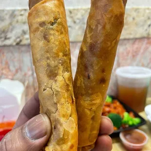 Steak n Cheese Spring Roll