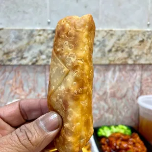 Shrimp Egg Roll
