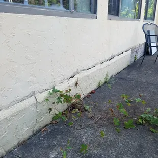 patio falling apart