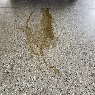 Oil Change at Eddie's Infiniti