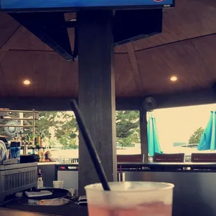 Shark Week at Eddy's!