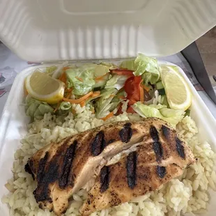 Salmon Dinner Plate