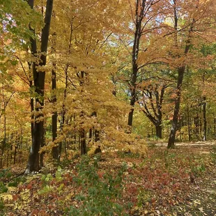 The park to walk through after you get your coffee!