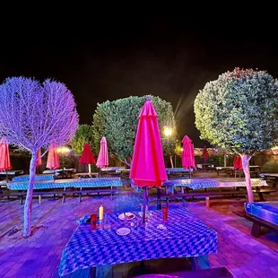 Beautiful landscape on outside patio