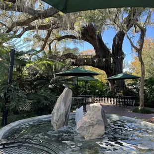 outside area fountain