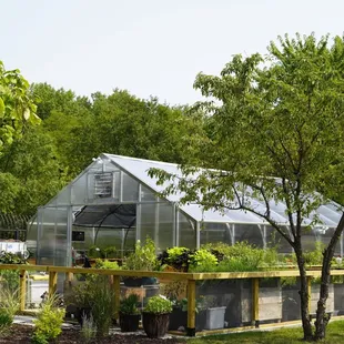 Eden&apos;s on-site greenhouse growing fresh herbs, edible flowers, and more