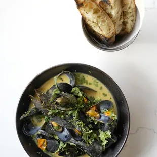 Coconut Curry Bar Harbor Mussels