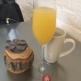 Mimosa