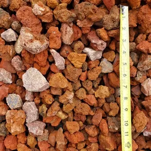 the size of a rock garden