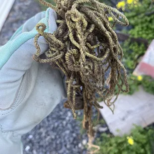 a person's hand holding a bunch of green and brown yarn