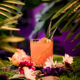 Bittersweet Nightshade --
Don Julio reposado, a perol, clement creole shrub, spirulina, agave, lime.