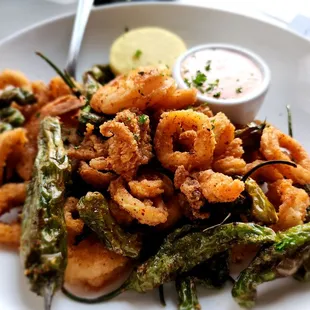Fried Calamari