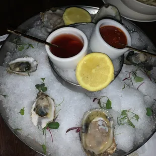 Oysters