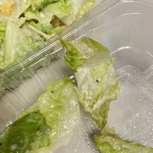 Chicken Caeser Salad..... with a side of bugs.