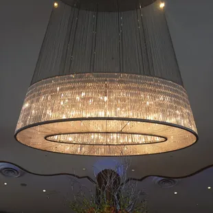a large chandelier hanging from the ceiling
