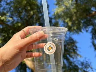 Controlled Chaos Coffee