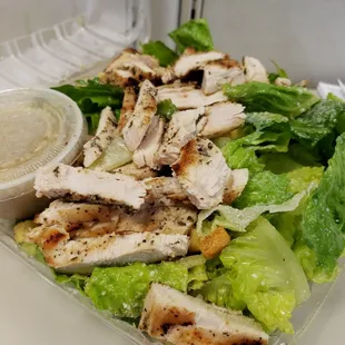 Grilled Chicken Ceasar
