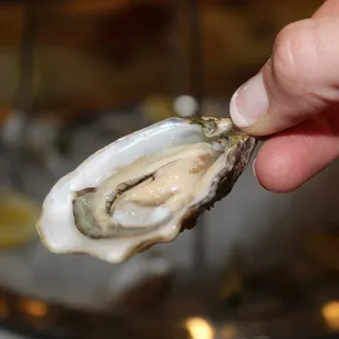 The west coast oysters were small &amp; sweet with outstanding flavors of butter and cucumber.